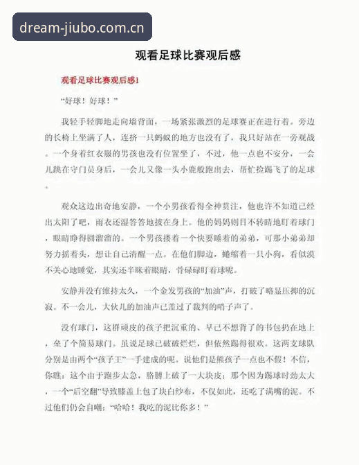 九博体育怎么样安全吗 资深用户分享:世界杯观赛签证危机下的真实体验与九博体育平台观赛心得